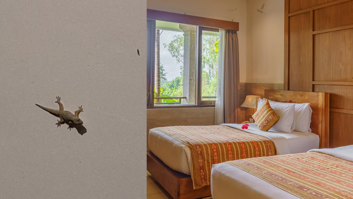 The spacious, clean, and comfortable rooms at Om Ham Retreat and Resort Ubud